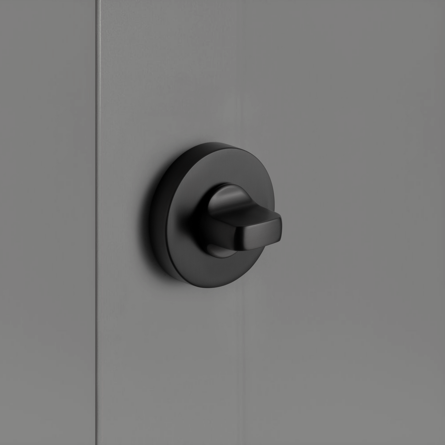 Privacy Lock Gun Metal